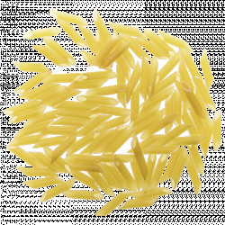 Lo Penne 5kg