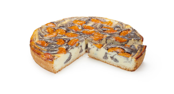 Pg TK Mohn-Mandarin-Käsekuchen