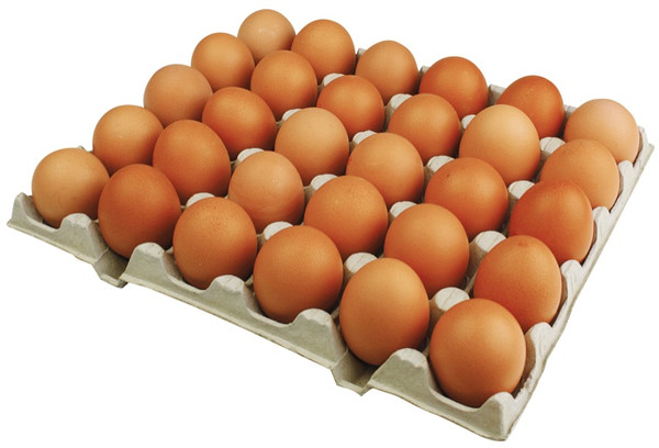 D Eier 1 Kl. L Freiland BW