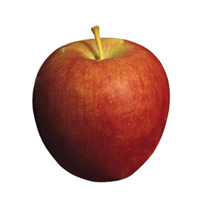 DE Äpfel Braeburn 65/70 HKL I