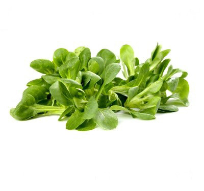 DE Ackersalat gesetzt 1kg