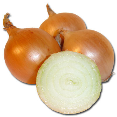 DE Zwiebeln